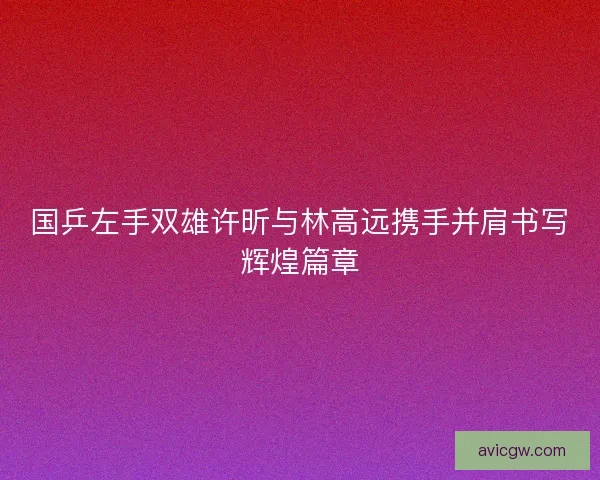 国乒左手双雄许昕与林高远携手并肩书写辉煌篇章